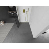 Mexen Kioto dušo sienelė Walk-in 80 x 200 cm, juodas tinklelis 8 mm, auksinis - 800-080-101-50-77