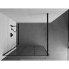 Mexen Kioto dušo sienelė Walk-in 100 x 200 cm, juodas tinklelis 8 mm, juodas - 800-100-101-70-77