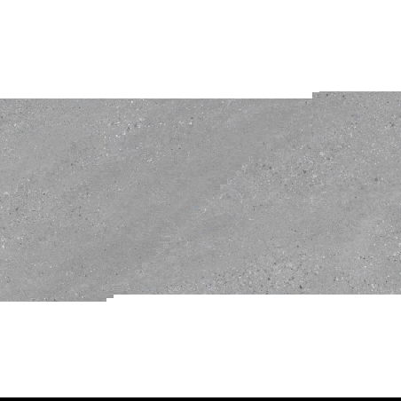 Mexen Inspira Grey glazūruotas rektifikuotas G1 grindų ir sienų plytelės 120 x 60 cm, matinis - TL303-120-060-02