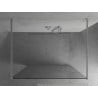 Mexen Kioto Laisvai stovinti dušo siena 150 x 200 cm, permatoma 8 mm, chromas - 800-150-002-01-00