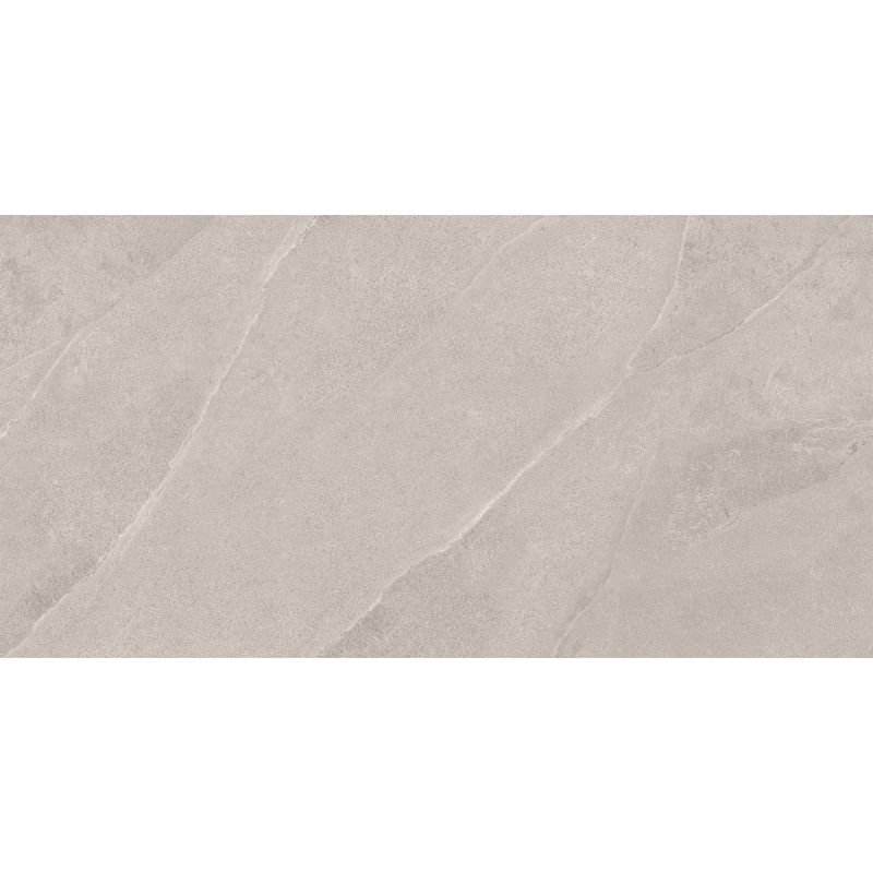 Mexen Aryan Sidabrinis keramikinis glazūruotas rek. G1, grindų ir sienų plytelė 120 x 60 cm, matinė - TL310-120-060-05
