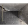Mexen Lunar dušo sienelė Walk-in dešinė 110 x 200 cm, permatoma 8 mm, auksinė - 830-110-000-50-00-P