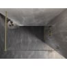 Mexen Lunar dušo siena Walk-in dešinė 140 x 200 cm, skaidri 8 mm, šlifuotas auksas - 830-140-000-55-00-P