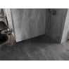 Mexen Lunar dušo siena Walk-in dešinė 50 x 200 cm, permatoma 8 mm, pistoletinis metalas - 830-050-000-95-00-P