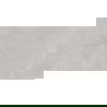 Mexen Evolution Šviesiai pilkas blizgus rektifikuotas grindų-sienų plytelė 120 x 60 cm, išraižymas - TL437-120-060-03