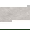 Mexen Evolution Šviesiai pilkas blizgus rektifikuotas grindų-sienų plytelė 120 x 60 cm, išraižymas - TL437-120-060-03