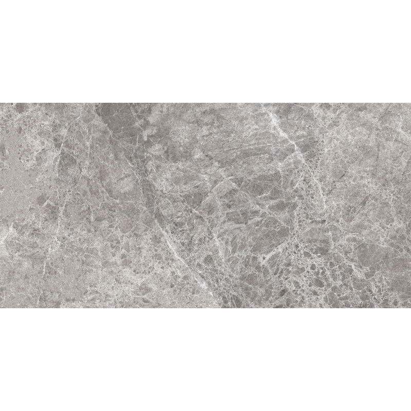 Mexen Lizard Grey glazūruota rektifikuota plytelė G1, grindų-sienų plytelė 120 x 60 cm, blizgesys - TL109-120-060-02