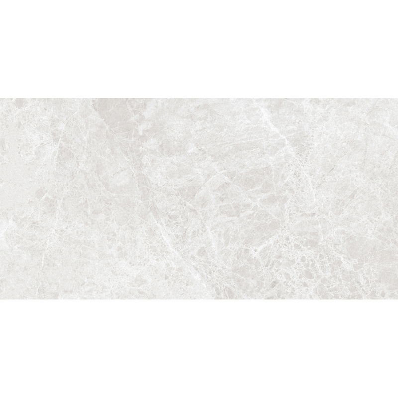 Mexen Lizard Silver glazūruota akmens masės plytelė, rektifikuota, 120 x 60 cm, blizgi - TL109-120-060-03