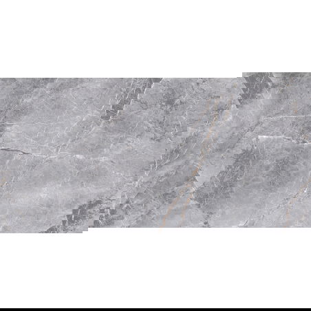 Mexen Eternity Grey glazūruotas rekt. G1, grindų-sieninė plytelė 120 x 60 cm, blizgi - TL112-120-060-01
