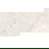 Mexen Artistic Steel glazūruotas rektifikuotas G1 akmuo, grindų-sieninė plytelė 120 x 60 cm, blizgus - TL121-120-060-01