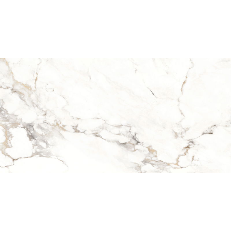 Mexen Scordia pilka pilka plytelė, glazūruota G1, grindų-sieninė plytelė 120 x 60 cm, blizgi - TL125-120-060-00