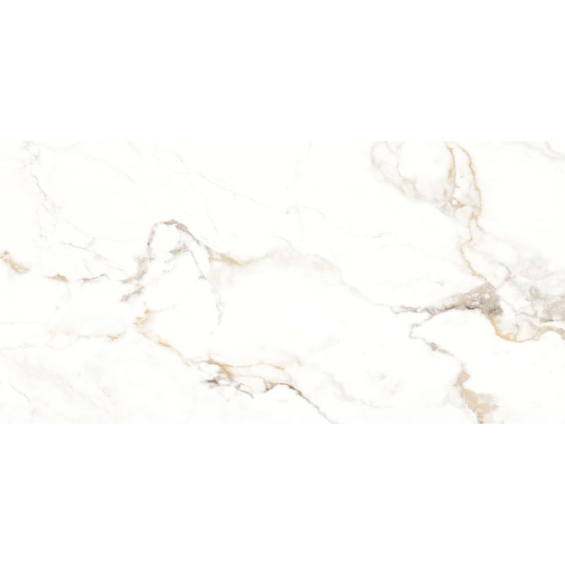 Mexen Scordia pilka pilka plytelė, glazūruota G1, grindų-sieninė plytelė 120 x 60 cm, blizgi - TL125-120-060-00