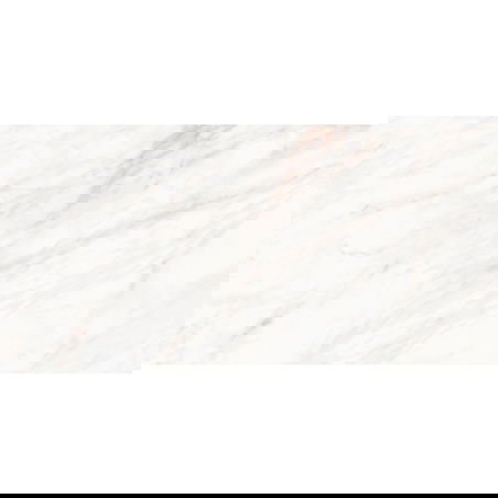 Mexen Forever Grey glazūruotas rektifikuotas plytelės G1, grindų-sienų plytelė 120 x 60 cm, blizgus - TL139-120-060-00