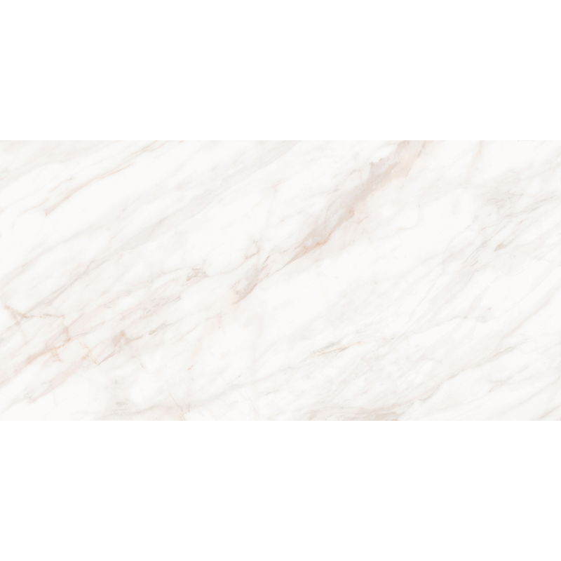 Mexen Forever Grey glazūruotas rektifikuotas plytelės G1, grindų-sienų plytelė 120 x 60 cm, blizgus - TL139-120-060-00