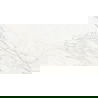 Mexen Rayas Sidabras glazūruotos rektifikuotos plytelės G1, grindų-sieninės plytelės 120 x 60 cm, blizgumas - TL147-120-060-01