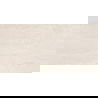 Mexen Homes Ivory blizgintas rekt. G1, grindų-sienų plytelė 120 x 60 cm, blizgus - TL151-120-060-02