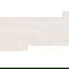 Mexen Dayno Bianco glazūruotas G1, grindinė ir sieninė plytelė 120 x 60 cm, blizgus - TL166-120-060-00