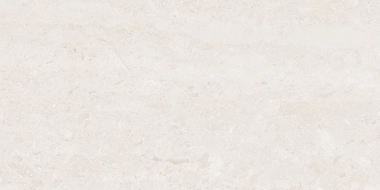 Mexen Dayno Bianco glazūruotas rekt. G1, grindų ir sienų plytelė 120 x 60 cm, blizgi - TL166-120-060-00