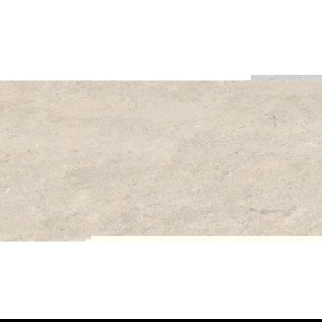 Mexen Dayno Classic glazūruota rektifikuota keramika G1, grindų ir sienų plytelė 120 x 60 cm, blizgi - TL166-120-060-01