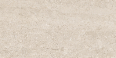 Mexen Dayno Classic glazūruota rektifikuota keramika G1, grindų ir sienų plytelė 120 x 60 cm, blizgi - TL166-120-060-01