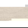 Mexen Dayno Classic glazūruota rektifikuota keramika G1, grindų ir sienų plytelė 120 x 60 cm, blizgi - TL166-120-060-01