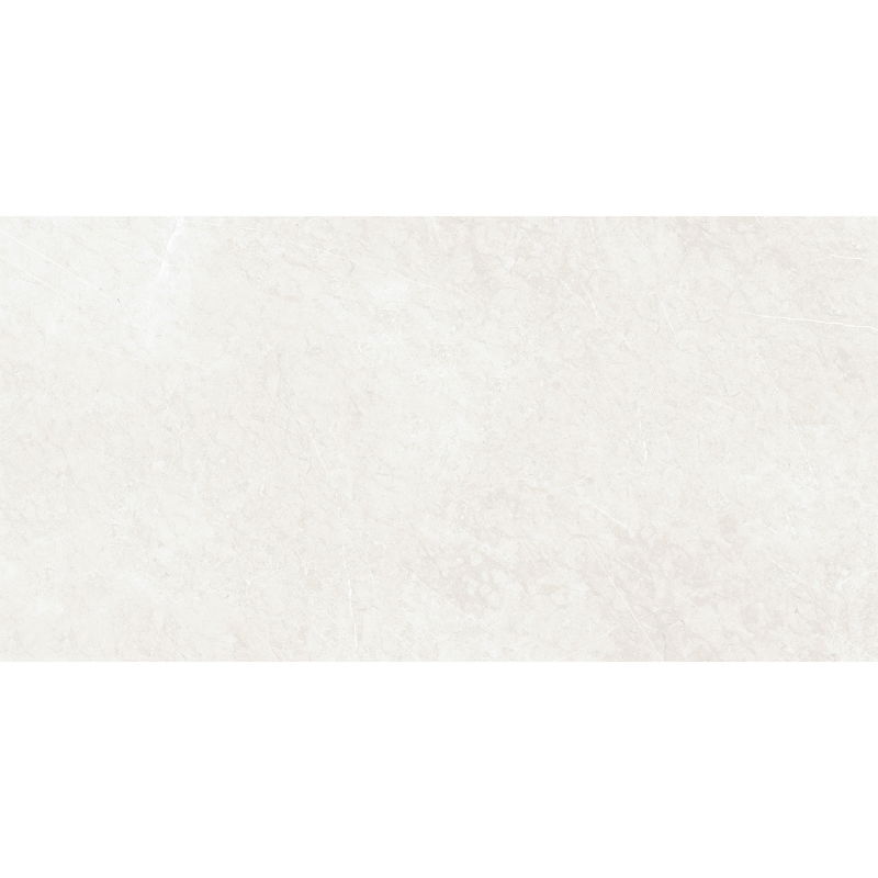 Mexen prancūziškas sidabro glazūruotas akmuo rekt. G1, grindų ir sienų plytelės 120 x 60 cm, blizgus - TL173-120-060-01