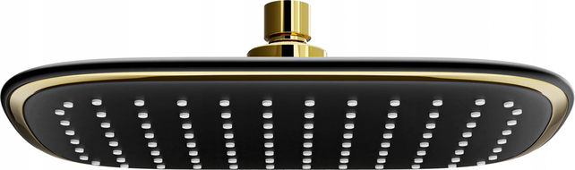 Mexen D-49 lietaus dušo galvutė 25x19 cm, juoda/auksinė - 79749-75