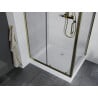 Mexen Apia stumdomas dušo kabina 100 x 80 cm, permatomas, auksinis + Rio padėklas - 840-100-080-50-00-4510