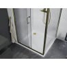 Mexen Apia stumdoma dušo kabina 90 x 90 cm, Skaidrus, Auksinė + dušo padėklas Flat, Balta- 840-090-090-50-00-4010G