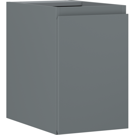 Mexen Orio vonios spintelė po kriaukle 30 cm, 1 durys, matinis grafitas - 91A11-03047-1-BF66