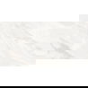 Mexen Sparta Bianco blizginamojo rektifik. plytelių pavyzdys G1, grindų ir sienų plytelė 120 x 60 cm, blizgus - TL101-00-S