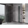 Mexen Mist Duo dušo kabina atveriama 120 x 70 cm, juodas rėmas, juoda - 8A4-120L-070P-70-70