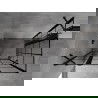 Mexen Mist Duo varstoma dušo kabina 120 x 75 cm, juodas tinklelis, juoda - 8A4-120L-075P-70-77