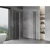 Mexen Mist L Duo dušo kabina su durelėmis 110 x 95 cm, skaidri, chromas - 8A4L-110-095-01-00
