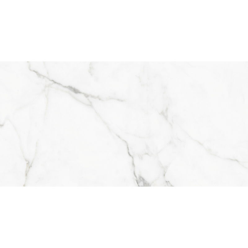 Mexen Lac Pilka akmens masės stačiakampio formos plytelė, sienų ir grindų danga 120 x 60 cm, blizgi - TL107-01-S