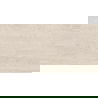 Mexen Dayno Klasikinio blizgaus glazūruoto akmens masės bandinys rek., grindų ir sienų plytelė 120 x 60 cm, blizgus - TL166-01-S