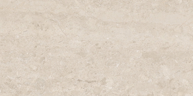 Mexen Dayno Klasikinio blizgaus glazūruoto akmens masės bandinys rek., grindų ir sienų plytelė 120 x 60 cm, blizgus - TL166-01-S
