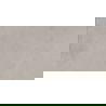 Mexen Recto Šviesiai pilka glazūruoto rektifikuoto gresinio pavyzdys G1, grindų-sienų plytelė 120 x 60 cm, matinė - TL333-02-S
