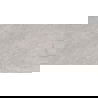 Mexen Alice Pilka glazūruoto rektifikuoto gres porcellanato pavyzdys G1, grindų-sienų plytelė 120 x 60 cm, raižinys - TL339-00-S