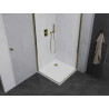 Mexen Pretoria Dviguba dušo kabina varstoma 70 x 70 cm, skaidri, auksinė + Flat padėklas - 852-070-070-50-02-4010G