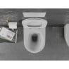 Mexen Lena pakabinamas WC puodas Rimless su lėtai nusileidžiančiu dangčiu slim, duroplastikas, baltas/auksinė tinklelio raštas ?