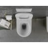 Mexen Lena WC dubuo be ratlankio su lėtai nusileidžiančiu plonu dangčiu, duroplastikas, baltas/auksinis su žvynų raštu - 302240?