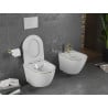 Mexen Lena WC dubuo Rimless su lėtai nusileidžiančiu slim dangčiu, duroplast, balta/aukso linija - 30224005
