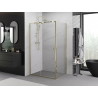 Mexen Exo-R atveriama dušo kabina 140 x 120 cm, permatoma, auksinė - 819-140-120-50-00
