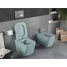 Mexen Teo WC dubuo be ratlankio su lėtai nusileidžiančiu dangčiu, duroplast, šviesiai žalia matinė - 30854048