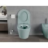 Mexen Rico pakabinamas wc puodas be ratlankio su lėtai nusileidžiančiu plonu dangčiu, duroplastinė, šviesiai žalia matinė - 307?