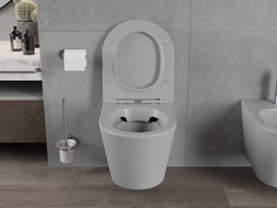 Mexen Rico pakabinamas WC su Rimless sistema, su lėtai nusileidžiančia plona duroplastine tualeto sėdyne, šviesiai pilkos matin?