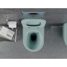 Mexen Lena Rimless WC dubuo su lėtai nusileidžiančiu plonu dangčiu, duroplast, šviesiai žalia matinė - 30224048