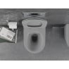 Mexen Lena WC dubuo be ratlankio su lėtai nusileidžiančiu dangčiu, duroplast, šviesiai pilkas matinis - 30224061