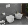 Mexen Lena WC dubuo Rimless su lėtai nusileidžiančiu slim dangčiu, duroplast, balta/aukso linija - 30224005